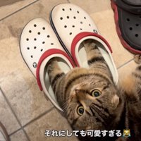 上アングル