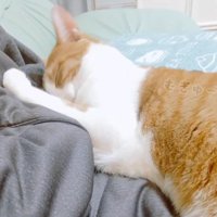 目を瞑ったお顔
