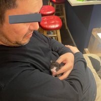 抱っこされる子猫