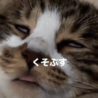 猫に見えない猫