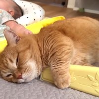 寝顔のアップ