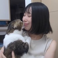 顔を舐める猫
