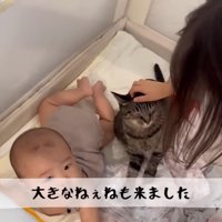 大きなねぇねも