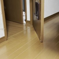 ドアを顔で開ける猫の写真