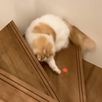 おもちゃにタッチ