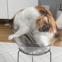 ベッドに乗るうなぎちゃん