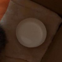 皿に入れられたミルク