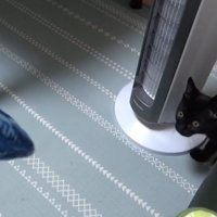 おもちゃを見ている猫