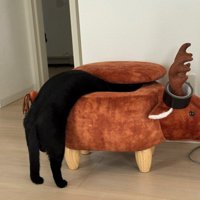 トナカイのスツールに上半身を入れる猫