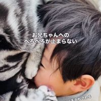 お兄ちゃんの顔を舐める子猫