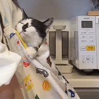 目を閉じる牛子ちゃん