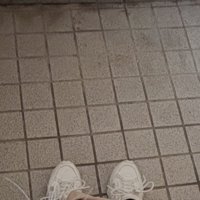 玄関と飼い主の靴