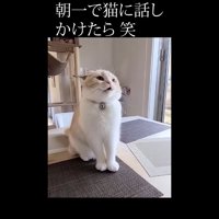 少し歯を見せて鳴く姿