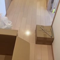 飼い主を出迎える黒猫