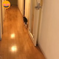 歩いて行く後ろ姿