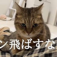 ガン飛ばすなや