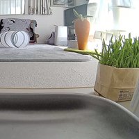 部屋の中を映すペットカメラの画像