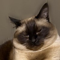 こじろーくん顔のアップ