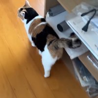歩いて行く後ろ姿