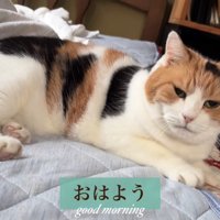 おはよう