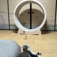 上を見て