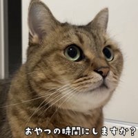 「おやつの時間にしますか？」のテロップ写真1