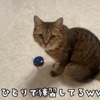 ひとりで練習