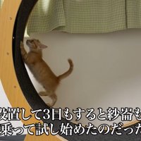 テロップ「ただ、設置して～」
