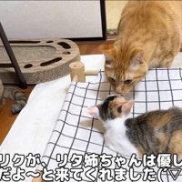 フォローするリクくん