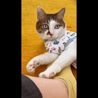 ちょっとアップ