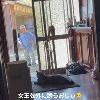 おじいちゃんと猫