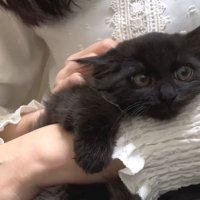 腕に抱かれるベニちゃん
