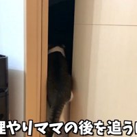 無理やりママの後を