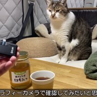 サーモグラフィカメラで確認する