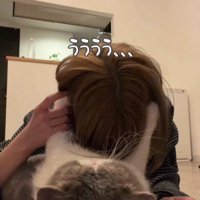 飼い主の頭をつかむ猫