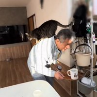 背中に猫ちゃんを乗せた男性