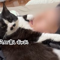 口塞いじゃお