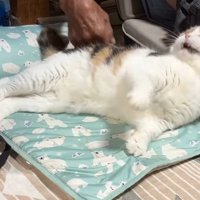仰け反り