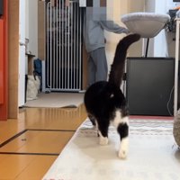 後ろ姿
