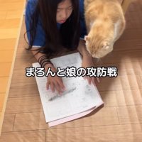 カメラに頭を向けて寝そべる子どもの隣に立っている猫