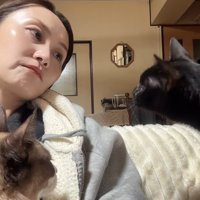 首をかしげる飼い主2