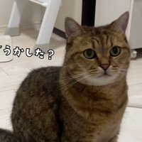 テロップ「どうかした？」