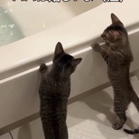 「順調に大きく…」と書かれた写真