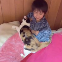 ベッドの上の男の子と猫