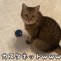 カスタネットw