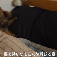 布団と枕がセットされたベッド