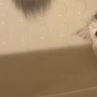 姉ミヌエットが入ったバスタブのアップ