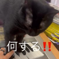 「何する」と書かれた写真