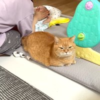前を見据えた姿