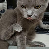 舌を出して